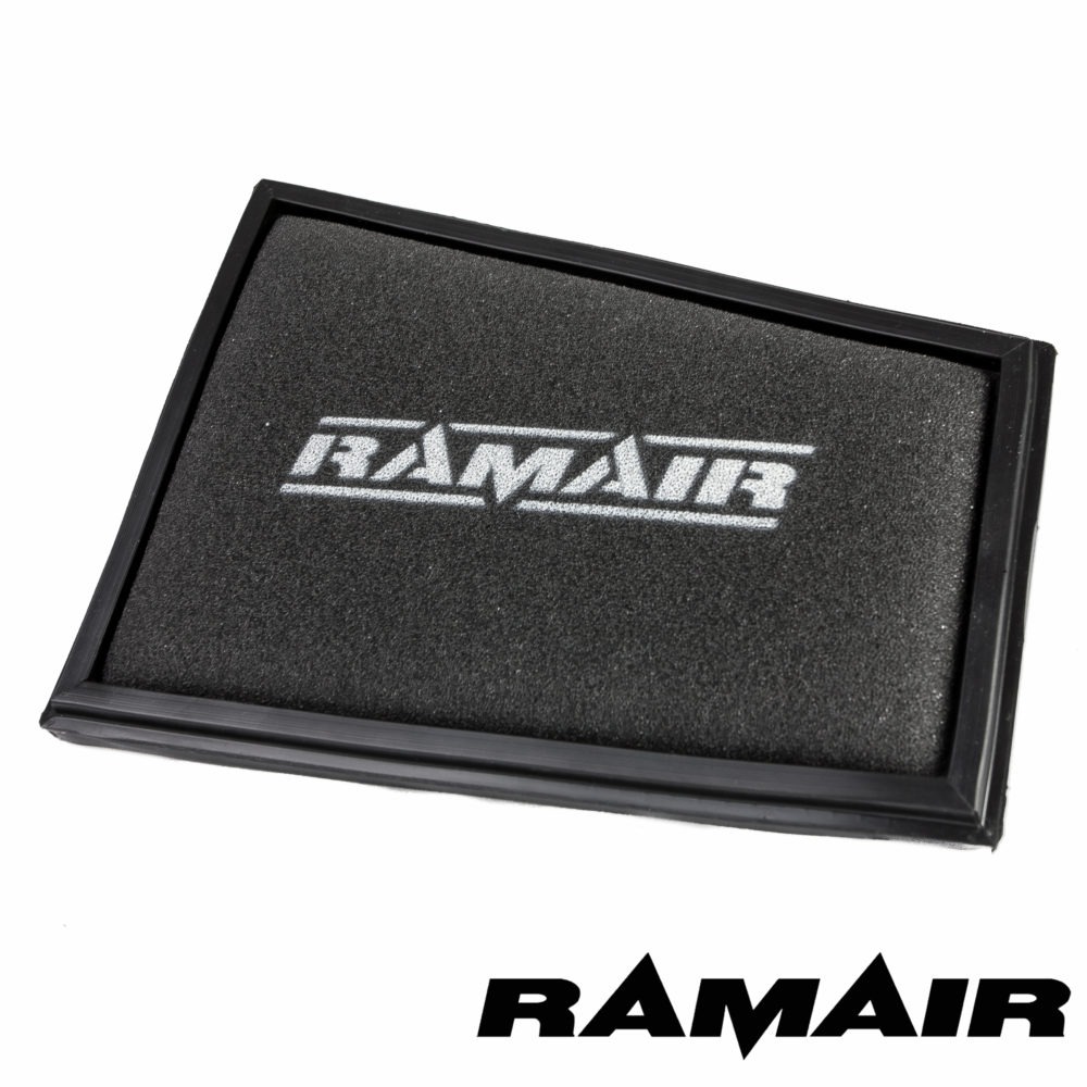 Ramair Filter for Renault Scenic Scenic 2 (2004 - 2009) 1.9 DCi - 120HP